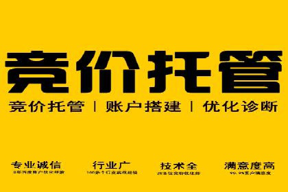 百度推广费用构成与成功案例解析